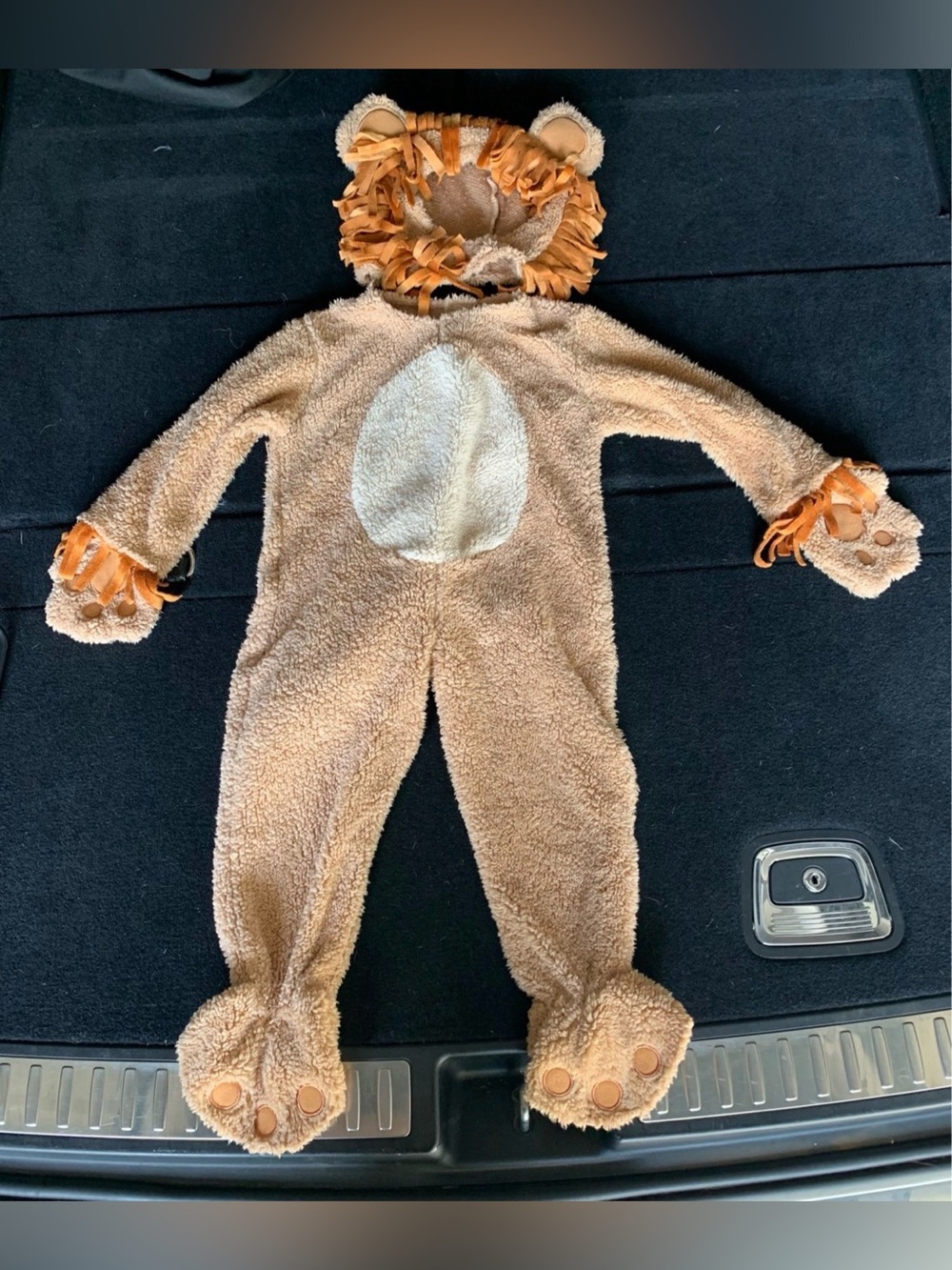 Lion Halloween baby toddler Halloween costume or dress up size 12 - 24 months